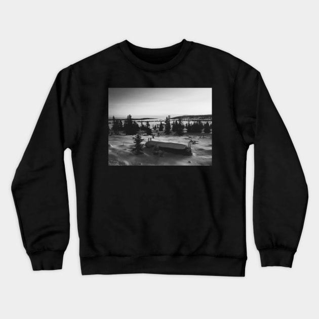 Black and White Shot of Foggy Fir Tree Backcountry in Norway Crewneck Sweatshirt by visualspectrum